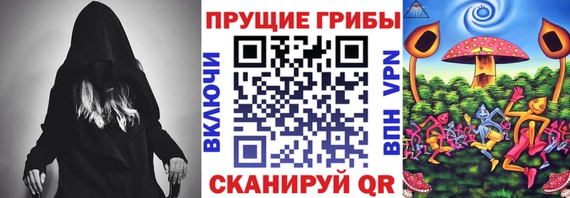 Галлюциногенные грибы Psilocybe Лесозаводск