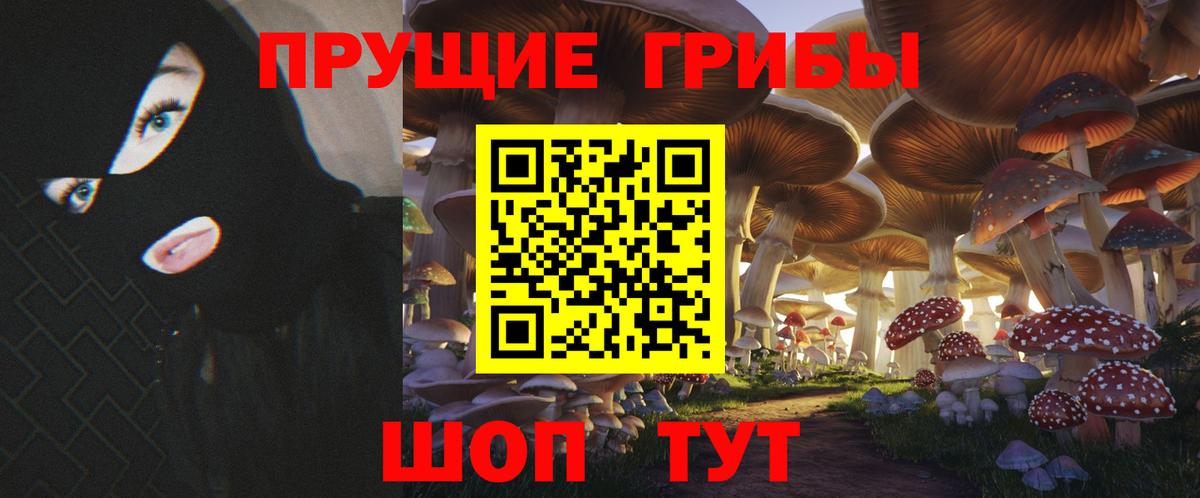 Галлюциногенные грибы Psilocybine cubensis Лесозаводск